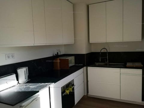 Kitchen or kitchenette, dishwasher, oven, stove