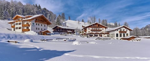 Property building, Natural landscape, Winter