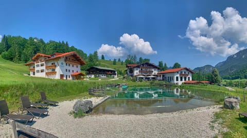 Property building, Summer, Swimming pool