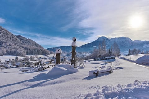 Winter, Mountain view