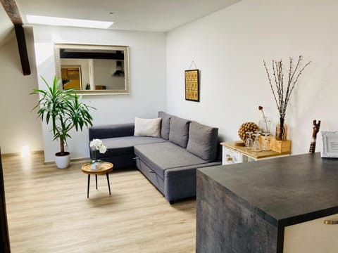 VIP Apartment in Old Town with free parking Apartment in Bratislava