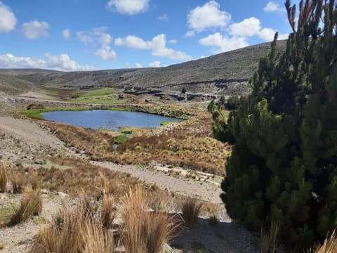 Hiking, Lake view