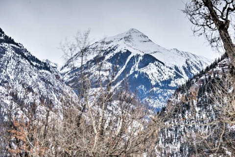 Cozy Home with Mountain Views Near Ouray Hot Springs House in Colorado