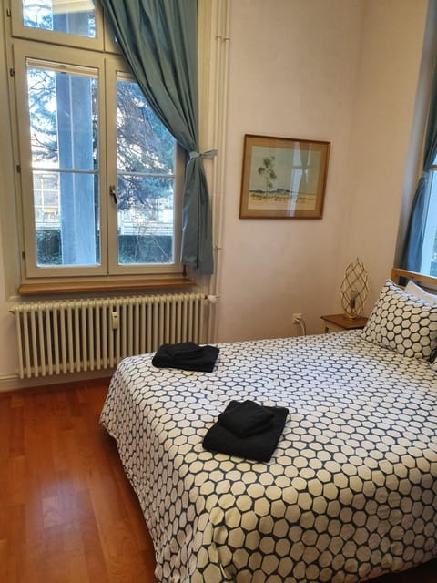 Gardenview Studio Basel Apartment in Basel