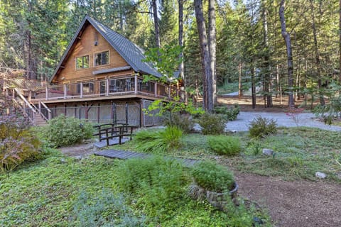 Amber Cabin with Hot Tub, Near Top Vineyards! Haus in Pollock Pines
