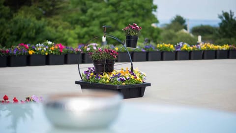 Garden, Balcony/Terrace