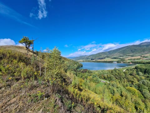 Nearby landmark, Spring, Natural landscape, Lake view