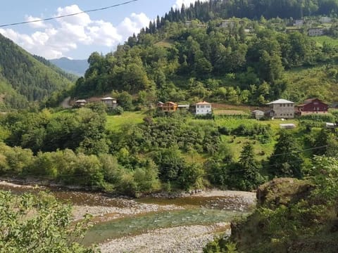 Neighbourhood, Natural landscape, Hiking