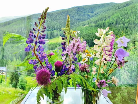 Spring, Mountain view