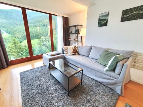 Living room, Mountain view