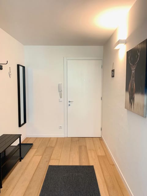 Decorative detail, Area and facilities