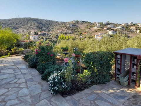 Garden, Mountain view