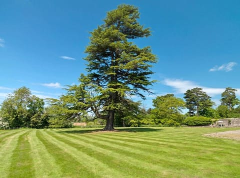 Newcourt Manor Country House in Wales