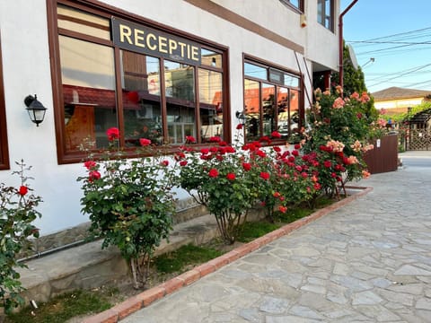 Casa Luca Hotel in Dobrich Province, Bulgaria