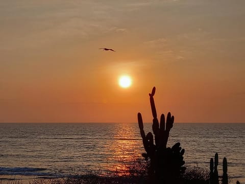 Natural landscape, Beach, Sea view, Sunset