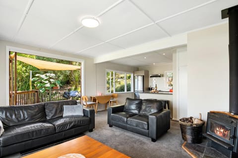 Great Tasman Outlook - Nelson Holiday Home House in Nelson