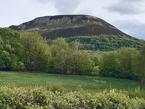 Arch House Bed and Breakfast in Leitrim, Co. Leitrim, Ireland