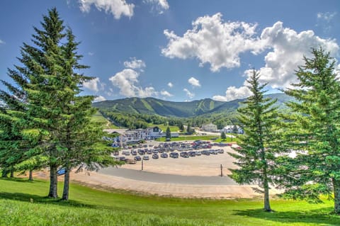 1 Mi to Killington Resort Townhome with Dry Sauna! House in Mendon