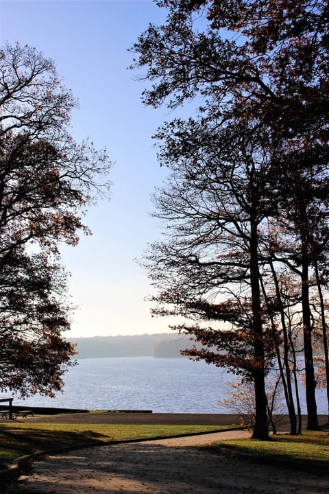 Natural landscape, Autumn, Lake view