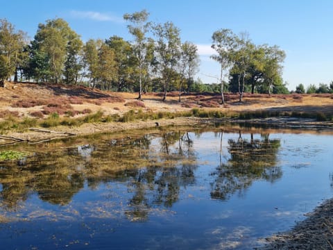 Nearby landmark, Day, Natural landscape, Lake view