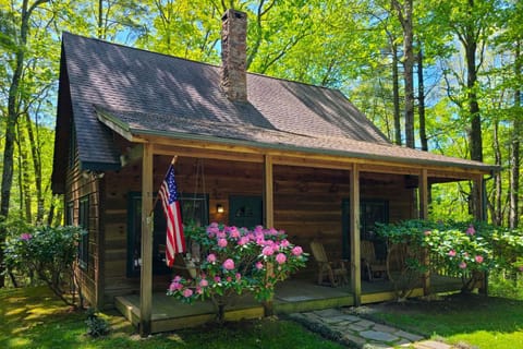 Woodland Cabin with Hot Tub and Deck 11 Mi to Boone! House in Watauga