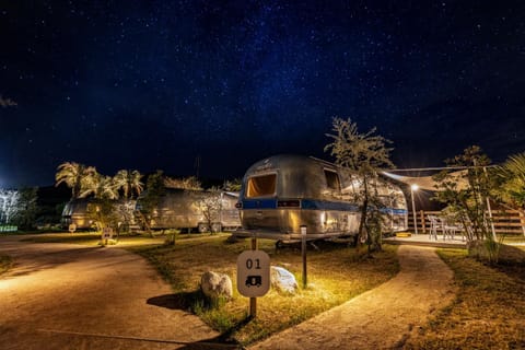 Property building, Night, Garden, Garden view