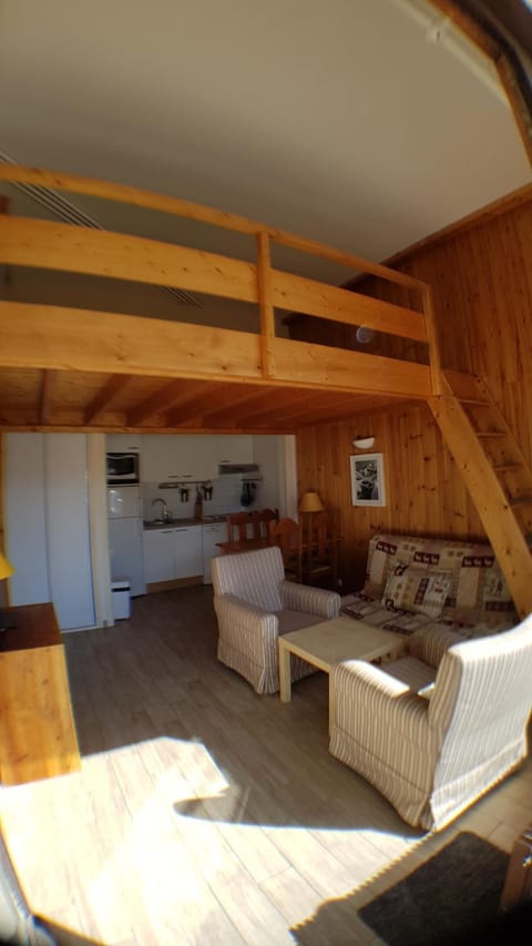 Location Les Deux Alpes, pieds des Pistes. 6 pers Apartamento in Les Deux Alpes