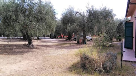 Garden, Garden, Other