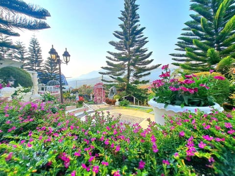 Prim's Cottage Nature lodge in Laos