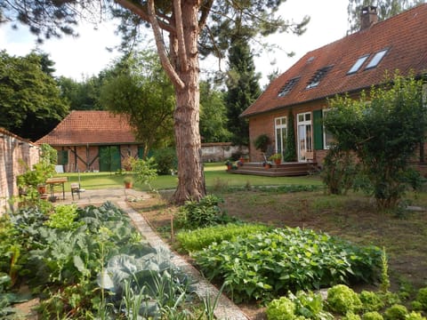 Property building, Garden