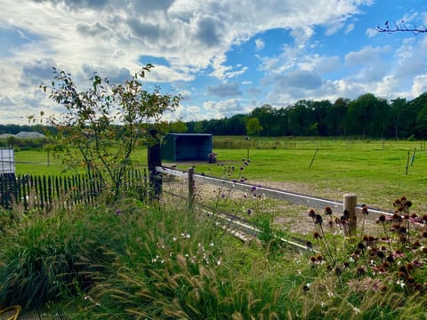 Luxe Finse Kota van de Zandhoef Chalet in North Brabant (province)