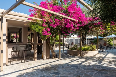 Patio, Garden view