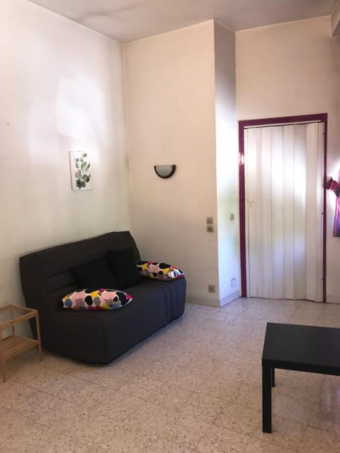 La MAISON D'ANTONIN Apartment in Nimes