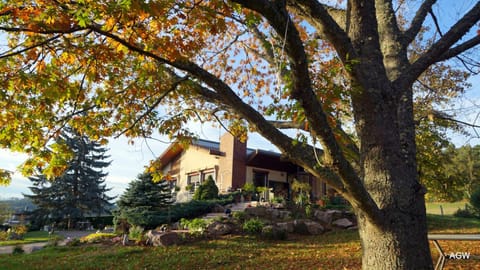 Property building, Natural landscape, Garden