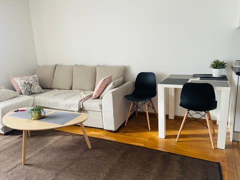 Scandinavian design heart City Center Runeberginkatu Apartment in Helsinki
