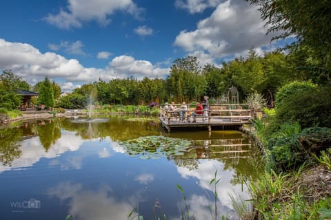 Glamping tent Romala Luxury tent in Drenthe (province)