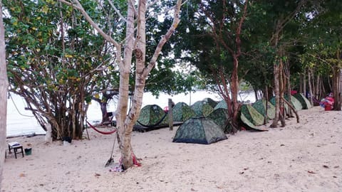 Plankton Bungalow and Camping Bed and Breakfast in Sihanoukville