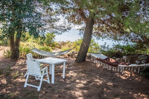 Patio, Garden, Area and facilities