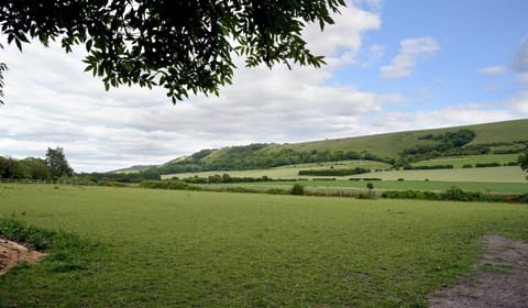 Natural landscape, View (from property/room)