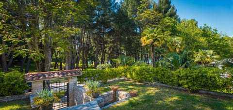 Garden, Garden view