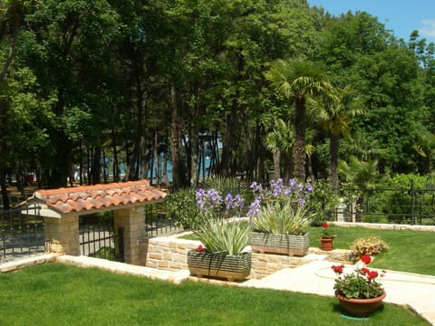 Garden, Garden view, Sea view