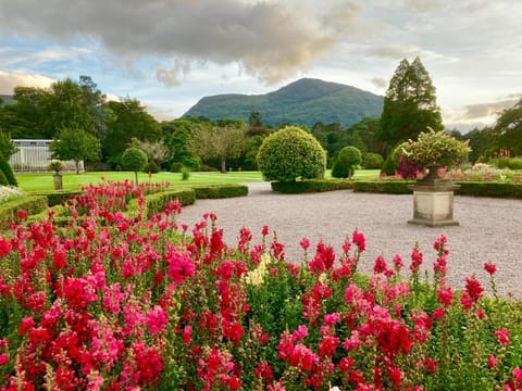 Rugged Glen Accommodation Bed and Breakfast in County Kerry