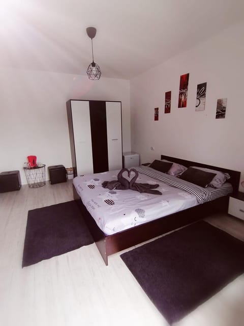 Vila ANA Bed and Breakfast in Cluj-Napoca