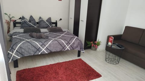 Vila ANA Bed and Breakfast in Cluj-Napoca