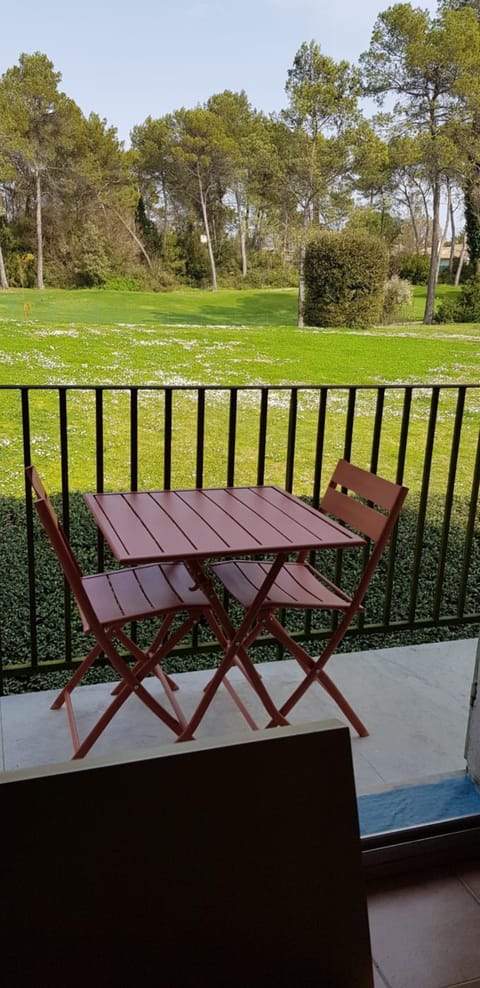 Garden, Balcony/Terrace