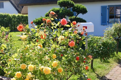 Ferienhaus Muschelsucher House in Glowe