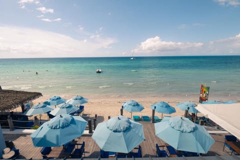 Restaurant/places to eat, Day, Natural landscape, Beach, Sea view, sunbed