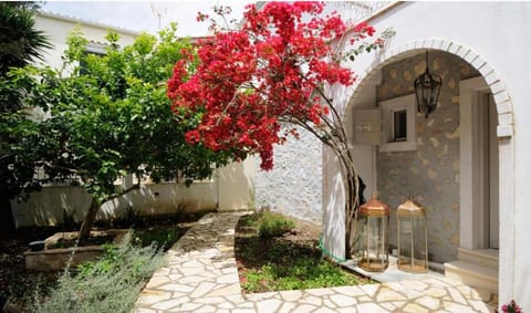 Anelina Paxos Residences (Elinas House) House in Gaios