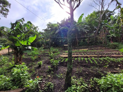 Natural landscape, Garden view