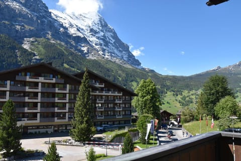 First Apartments Condo in Grindelwald